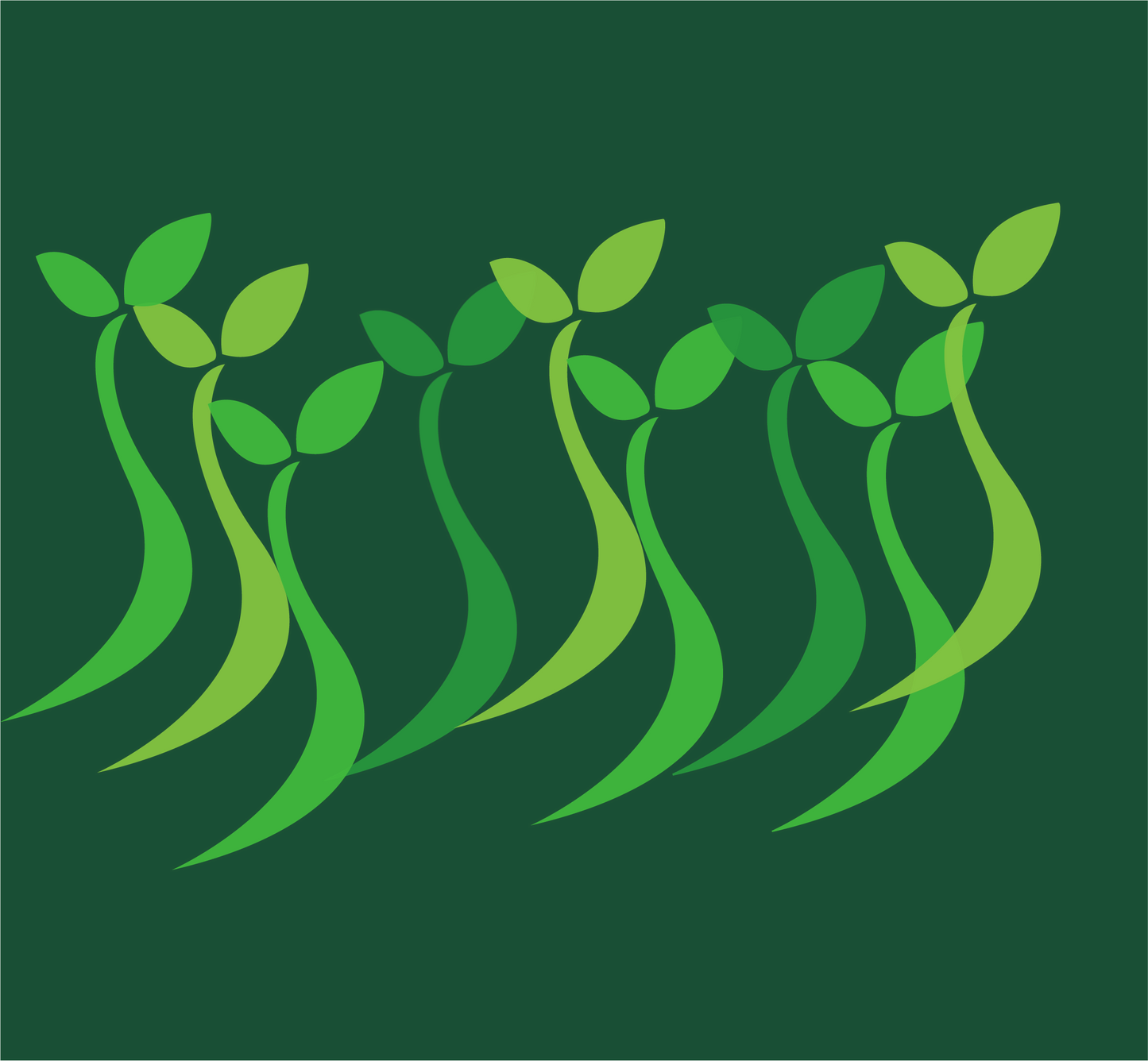 Vital Life Energy Formulas Gift Card