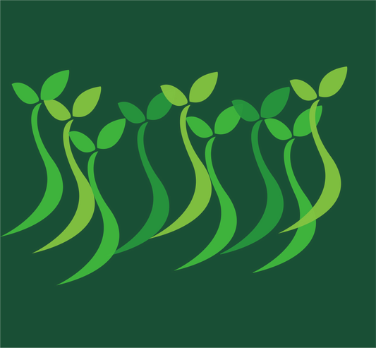 Vital Life Energy Formulas Gift Card